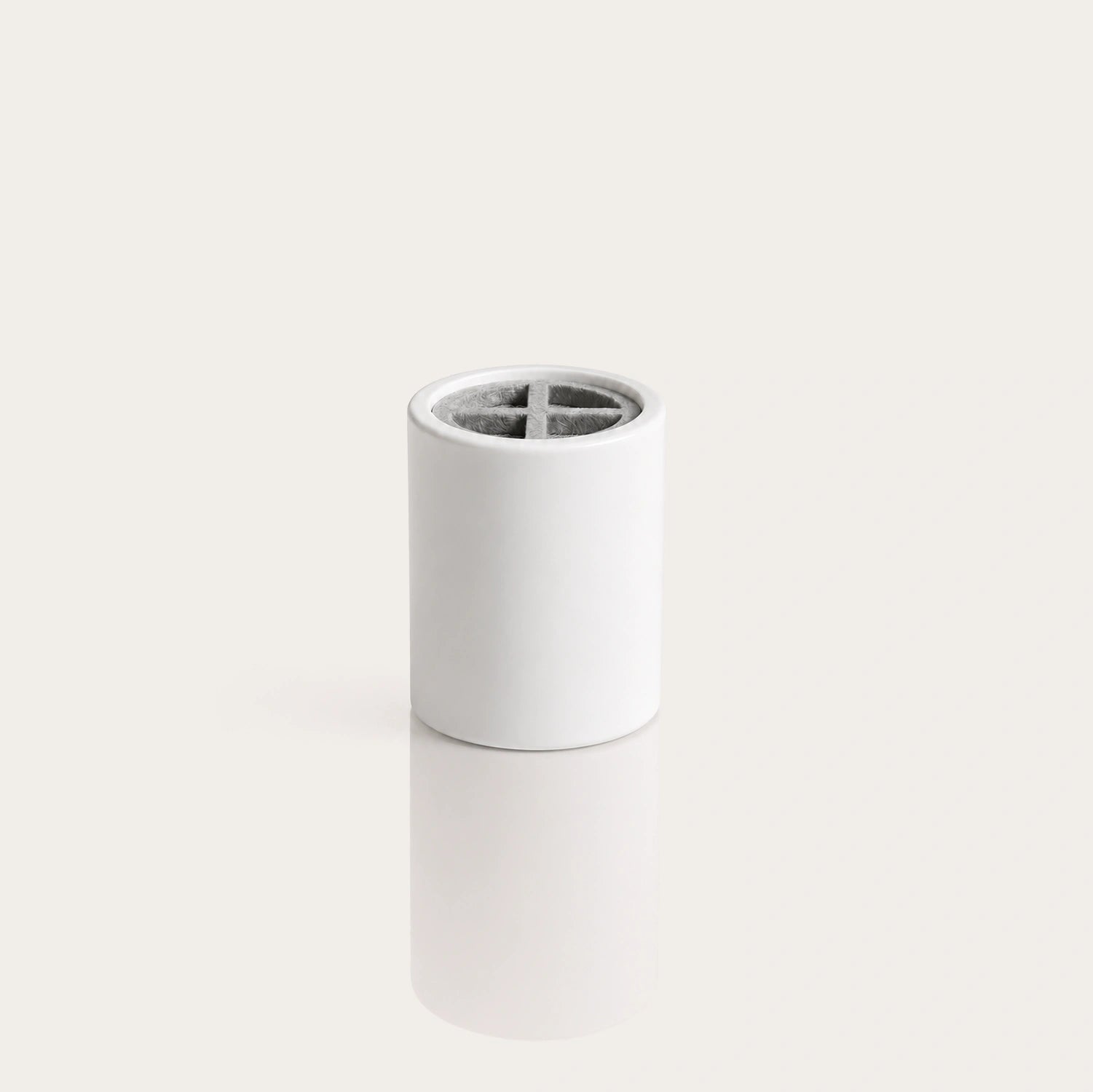 Refill Filter Rain Shower